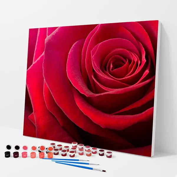 Red Rose Kit - Paint By Numbers - 30x40cm / 12x16’’ / No Frame - Paint By Numbers