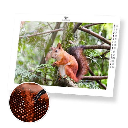 Red Squirrel - Premium Diamond Painting Kit - 45x30cm / 18x12’’ / Square (Most Popular) - Diamond Painting Kit