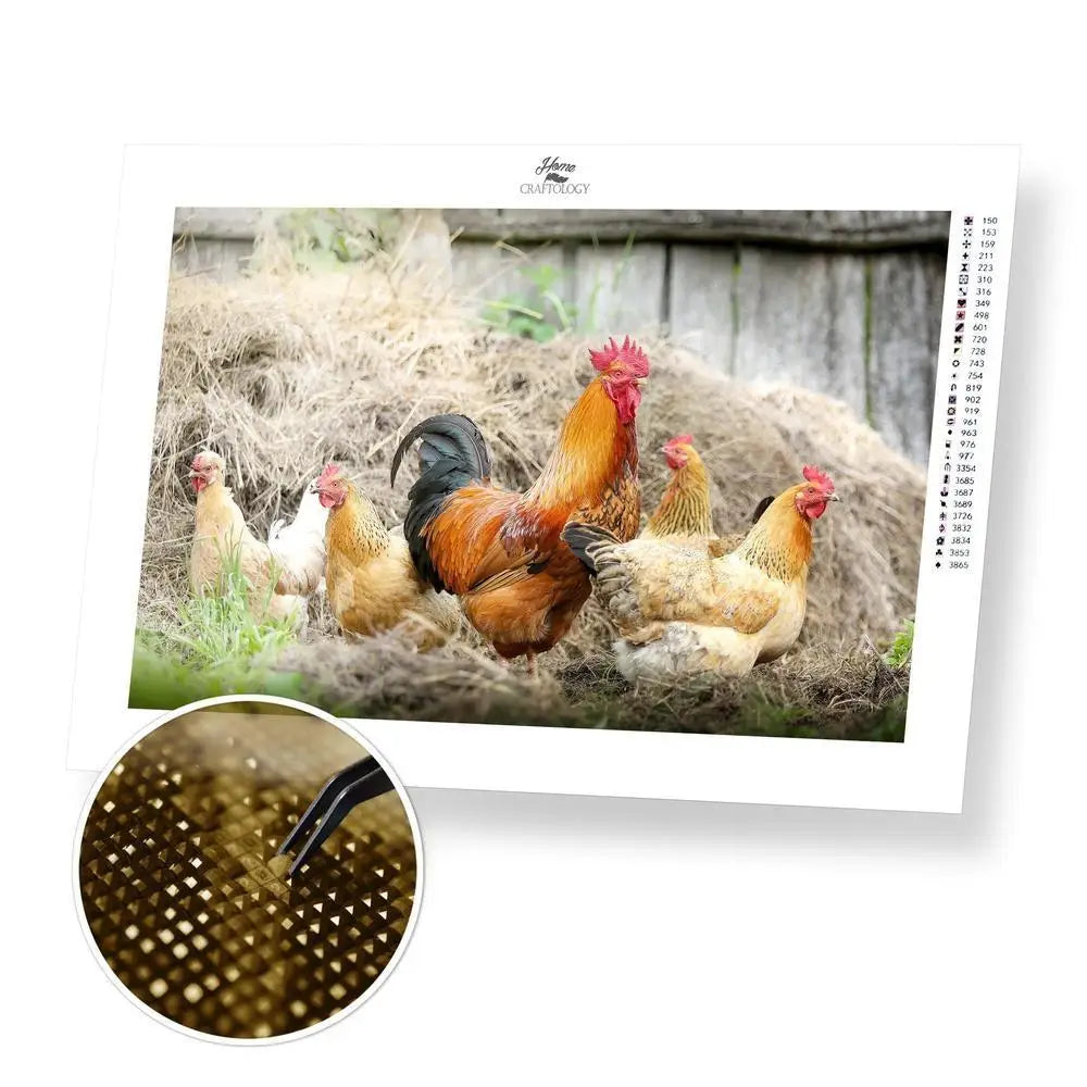 Rooster and Hens - Premium Diamond Painting Kit - 45x30cm / 18x12’’ / Square (Most Popular) - Diamond Painting Kit