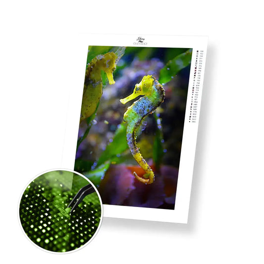 Seahorse - Premium Diamond Painting Kit - 30x45cm / 12x18’’ / Square (Most Popular) - Diamond Painting Kit