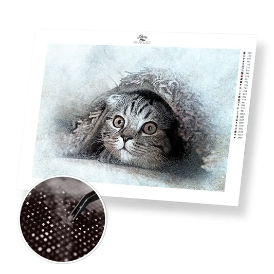 Shy Cat - Premium Diamond Painting Kit - 30x20cm / 12x8’’ / Square (Most Popular) - Diamond Painting Kit