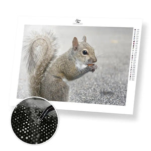 Squirrel Eating Nut - Premium Diamond Painting Kit - 45x30cm / 18x12’’ / Square (Most Popular) - Diamond Painting Kit