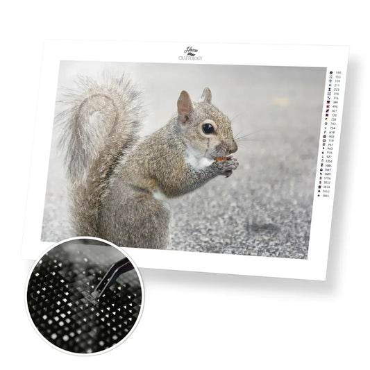 Squirrel Eating Nut - Premium Diamond Painting Kit - 45x30cm / 18x12’’ / Square (Most Popular) - Diamond Painting Kit
