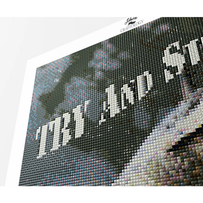 Try and Stop Me - Premium Diamond Painting Kit - Diamond Painting Kit