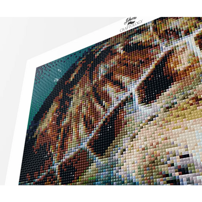 Turtle with Fishes - Premium Diamond Painting Kit - Diamond Painting Kit