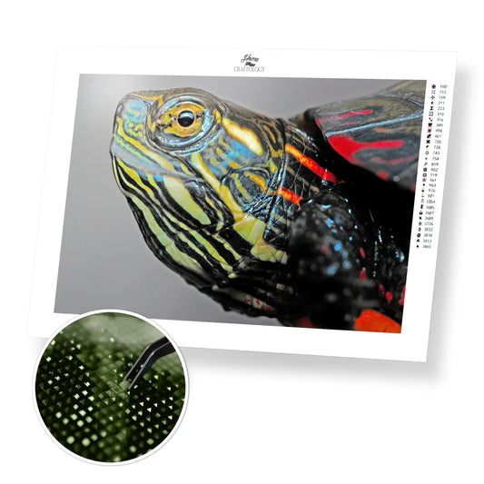 Turtle’s Head - Premium Diamond Painting Kit - 45x30cm / 18x12’’ / Square (Most Popular) - Diamond Painting Kit