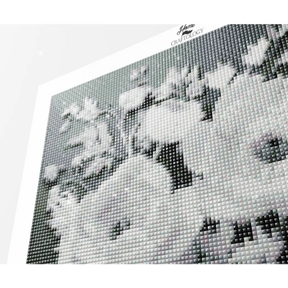 White Flowers - Exclusive Premium Diamond Painting Kit - Diamond Painting Kit