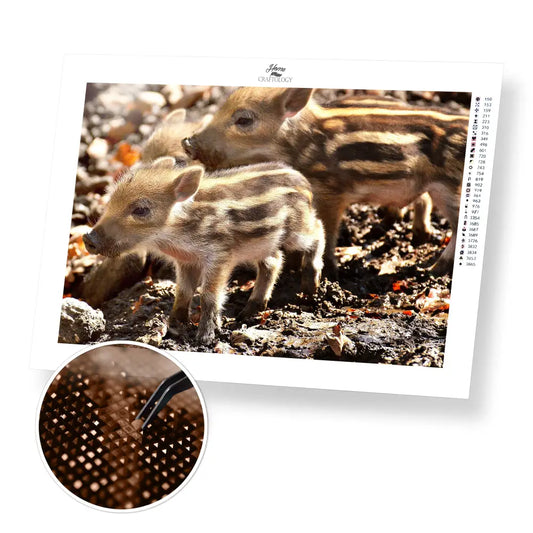 Wild Boar - Premium Diamond Painting Kit - 40x30cm / 16x12’’ / Square (Most Popular) - Diamond Painting Kit