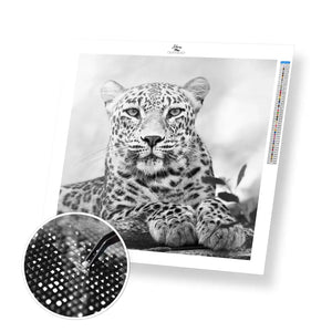 Wild Cat - Premium Diamond Painting Kit - 30x30cm / 12x12’’ / Square (Most Popular) - Diamond Painting Kit