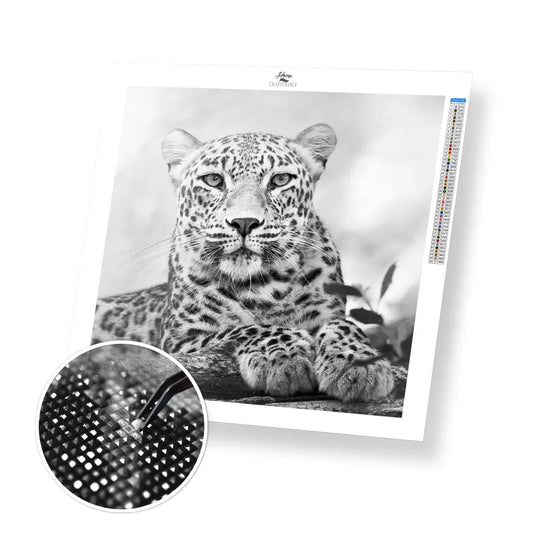 Wild Cat - Premium Diamond Painting Kit - 30x30cm / 12x12’’ / Square (Most Popular) - Diamond Painting Kit