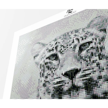 Wild Cat - Premium Diamond Painting Kit - Diamond Painting Kit