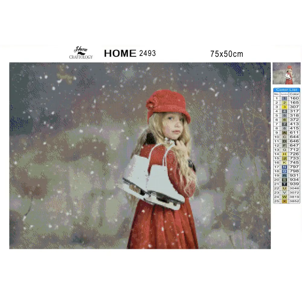 Young Skater - Premium Diamond Painting Kit - Diamond Painting Kit