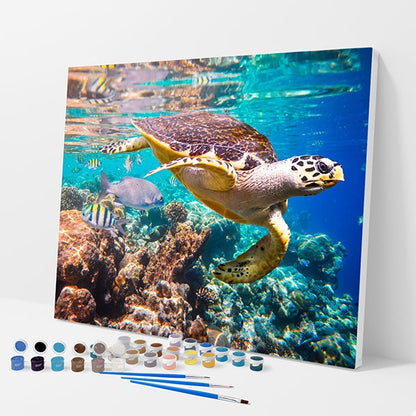 Swimming Sea Turtle Kit - Paint By Numbers