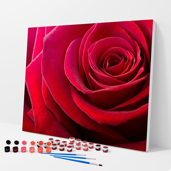 Red Rose Kit - Paint By Numbers