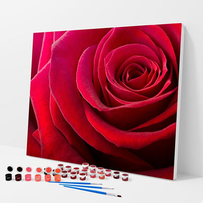 Red Rose Kit - Paint By Numbers