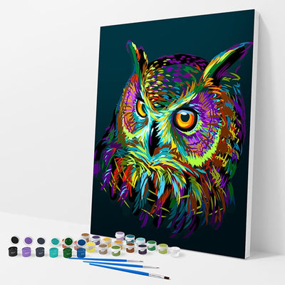 Colorful Owl Kit - Paint By Numbers