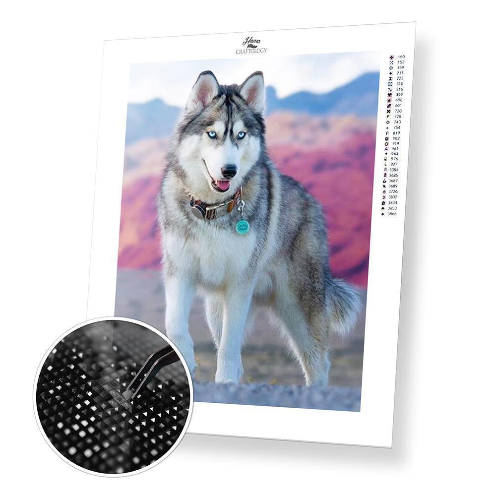 Adult Husky - Diamond Painting Kit - Home Craftology