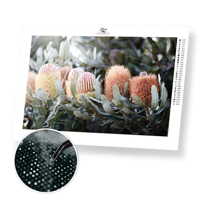 Banksia - Premium Diamond Painting Kit