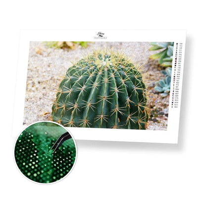 Barrel Cactus - Diamond Painting Kit - Home Craftology