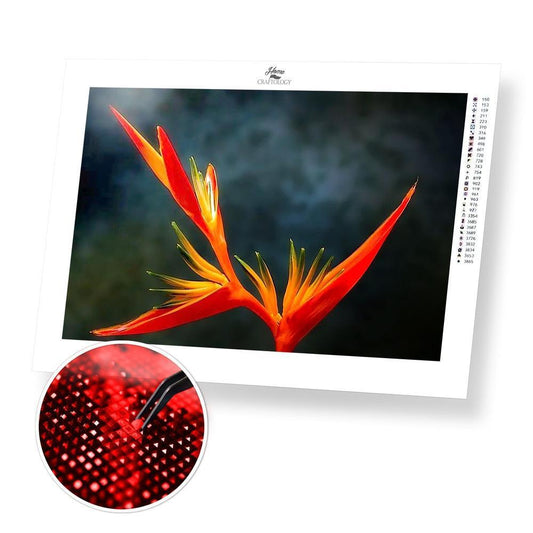 Bird of Paradise - Premium Diamond Painting Kit