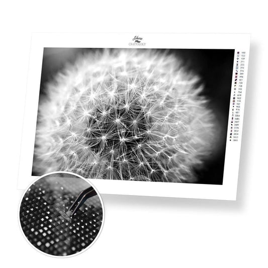 Black and White Dandelion - Diamond Painting Kit - Home Craftology