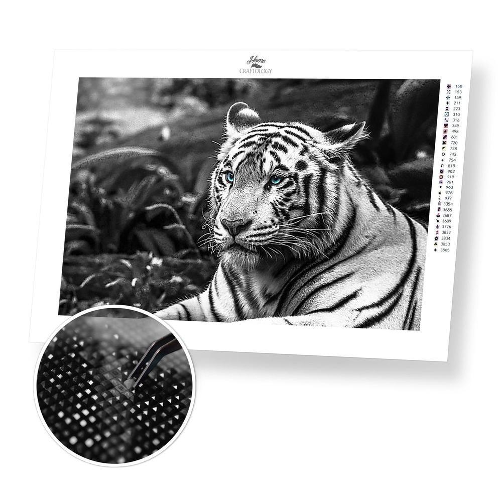 Black and White Tiger - Diamond Painting Kit - Home Craftology