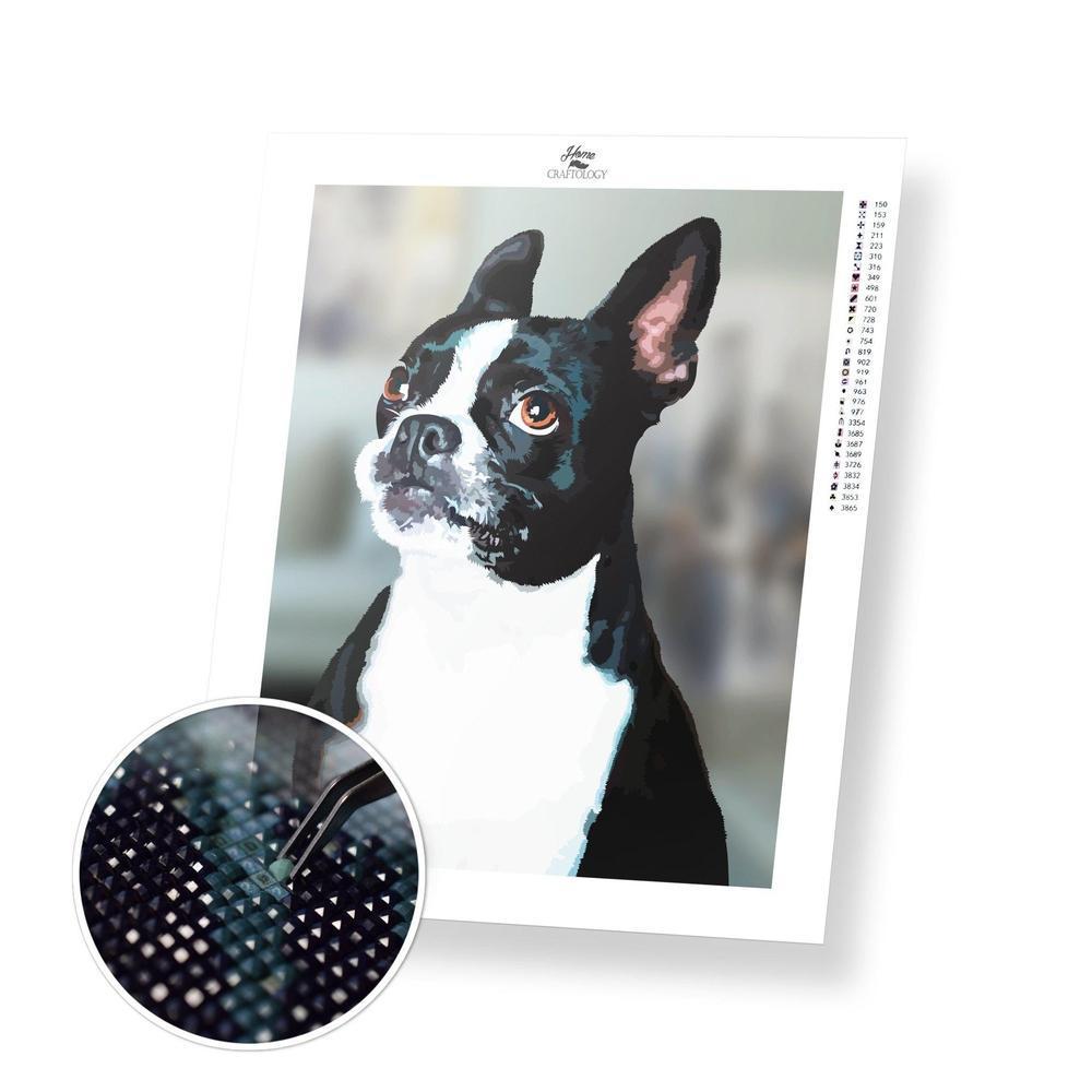 Boston Terrier - Diamond Painting Kit - Home Craftology