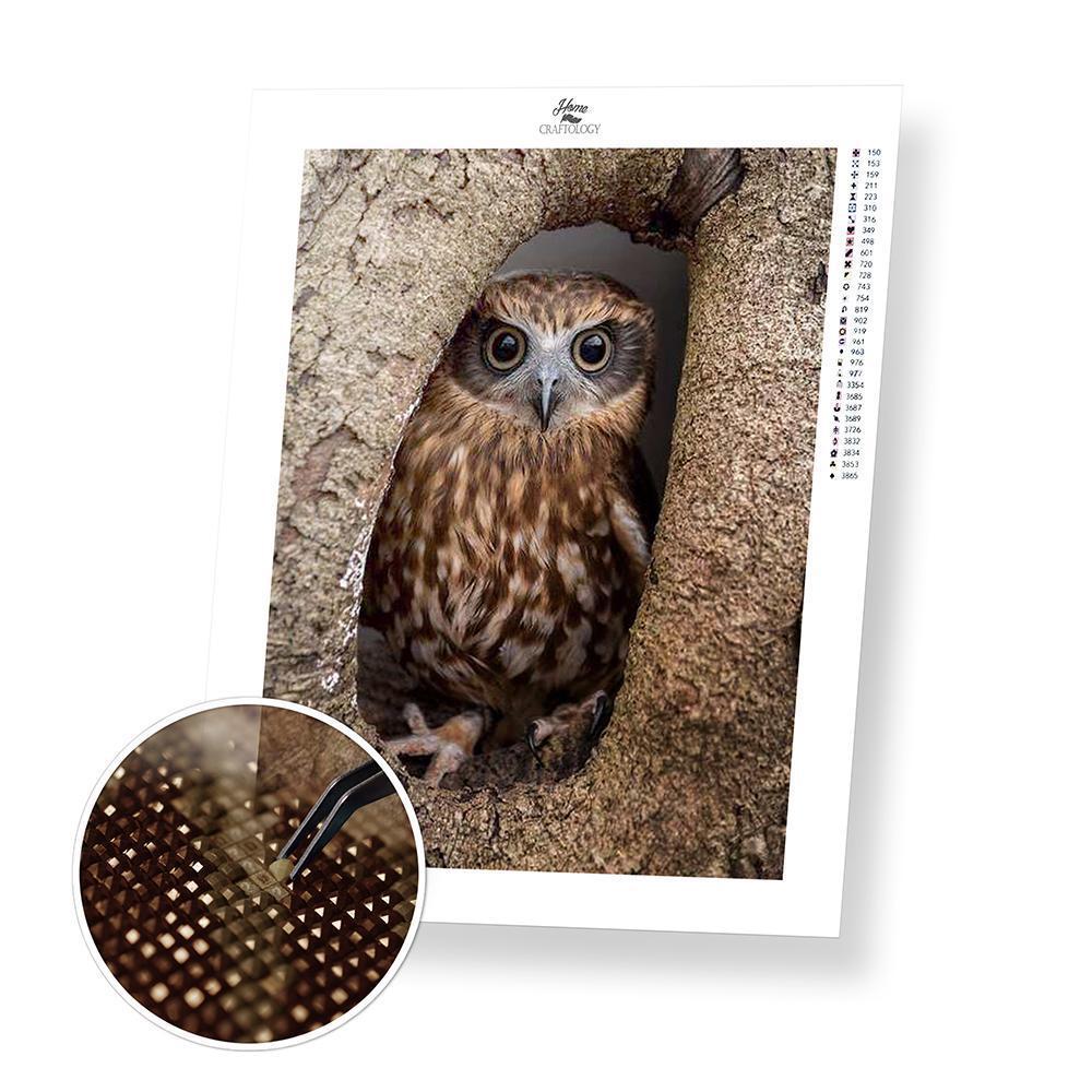 Brown Owl - Diamond Painting Kit - Home Craftology