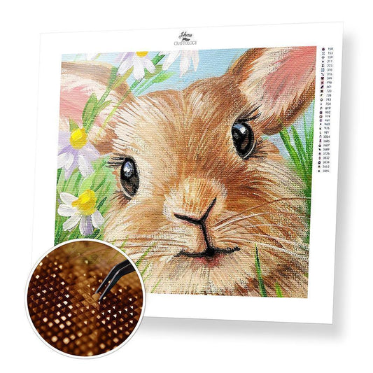 Bunny Close-up - Diamond Painting Kit - Home Craftology