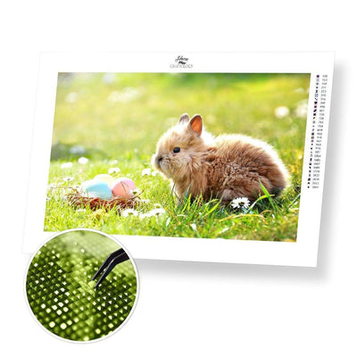 Bunny and Eggs - Diamond Painting Kit - Home Craftology