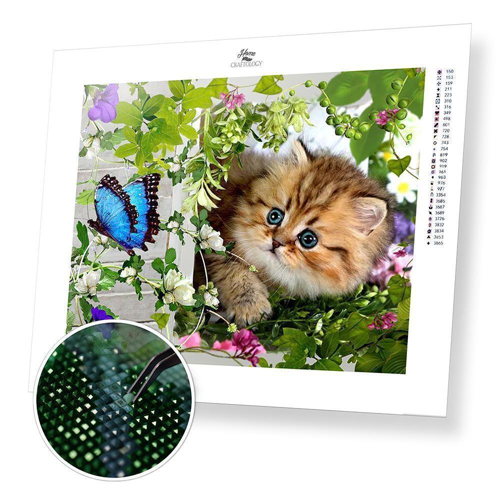 Cat with Butterfly - Diamond Painting Kit - Home Craftology