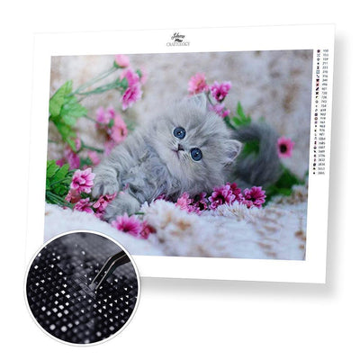 Cat with Pink Flowers - Diamond Painting Kit - Home Craftology