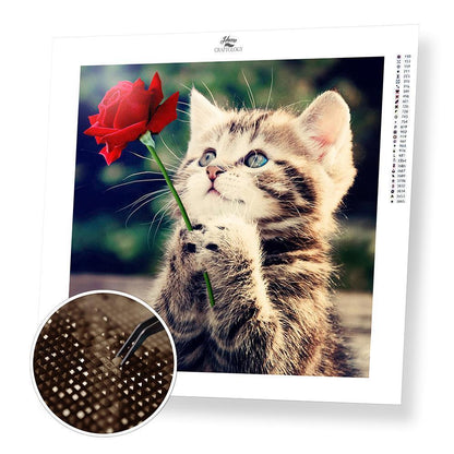 Best Selling Cats Diamond Painting Kits