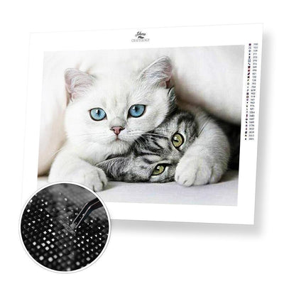Cats - Diamond Painting Kit - Home Craftology