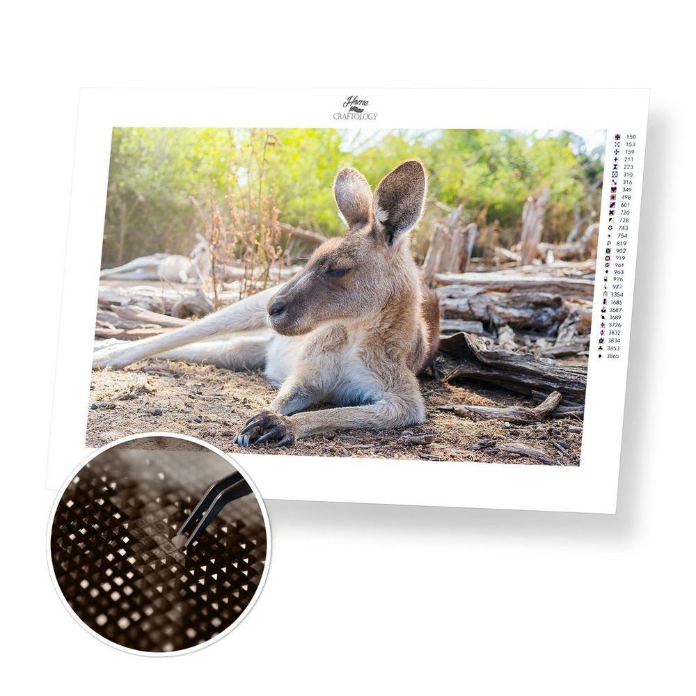 Chillin' Kangaroo - Diamond Painting Kit - Home Craftology