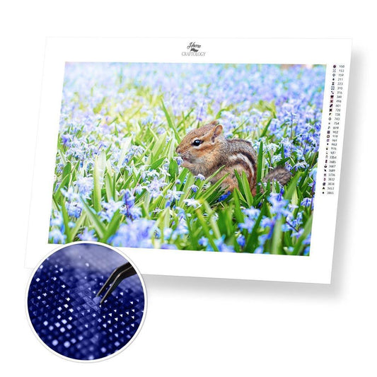 Chipmunk - Diamond Painting Kit - Home Craftology