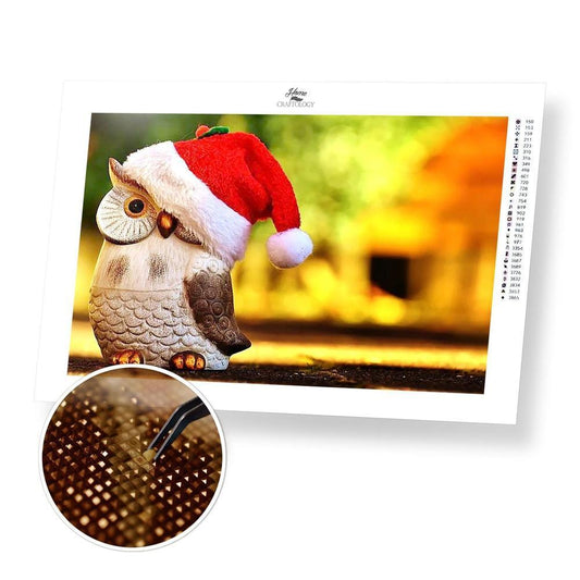 Christmas Owl - Diamond Painting Kit - Home Craftology