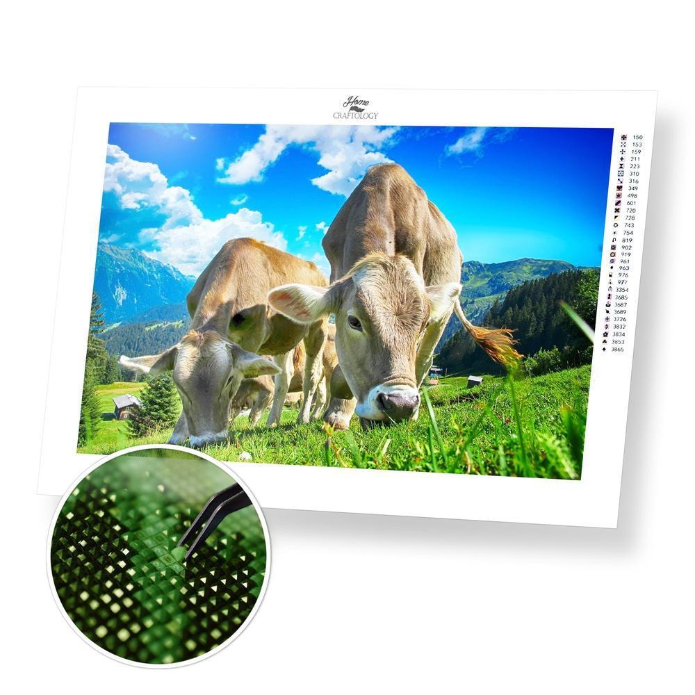 Cows - Premium Diamond Painting Kit