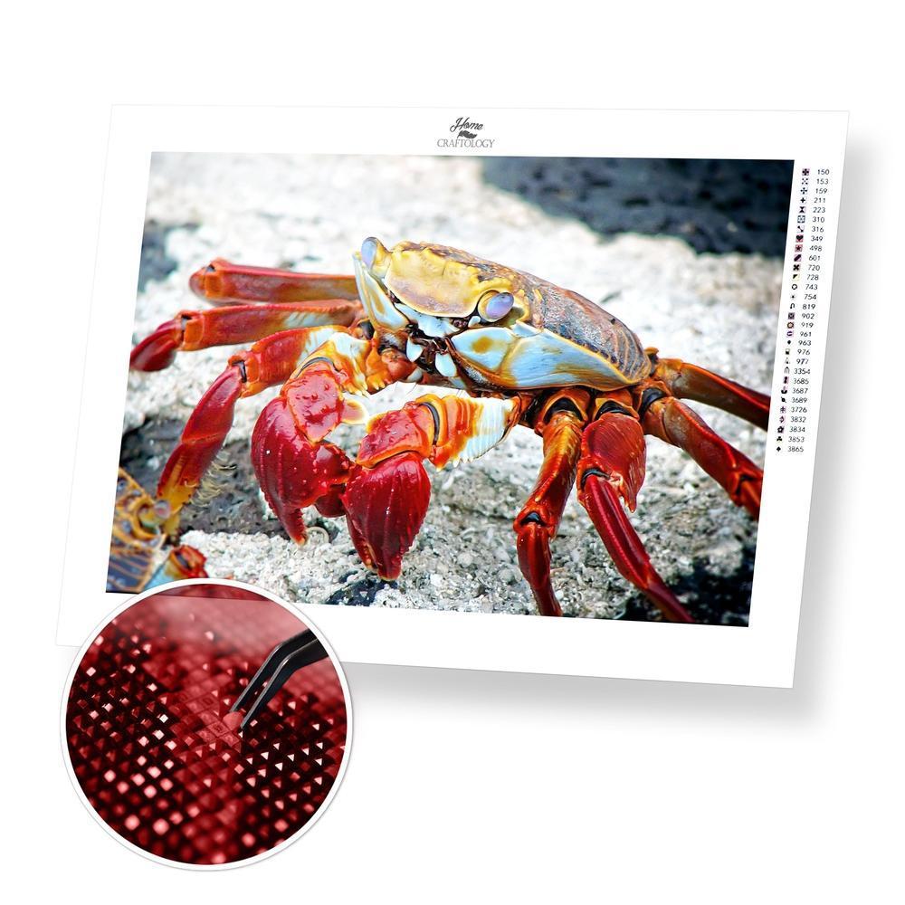 Crab - Premium Diamond Painting Kit
