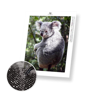 Cute Koala - Diamond Painting Kit - Home Craftology