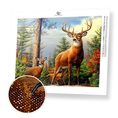 Deer in the Forest - Diamond Painting Kit - Home Craftology