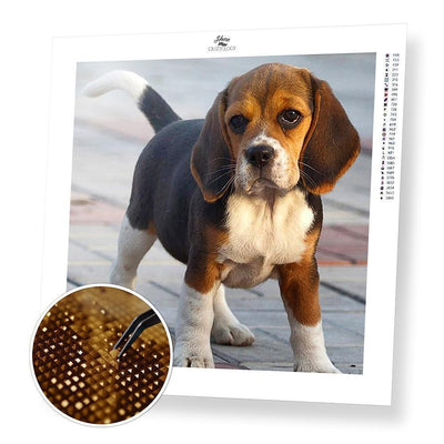 Dog Beagle - Diamond Painting Kit - Home Craftology