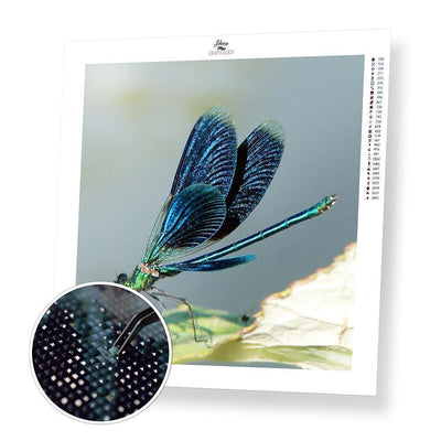 Dragonfly - Diamond Painting Kit - Home Craftology