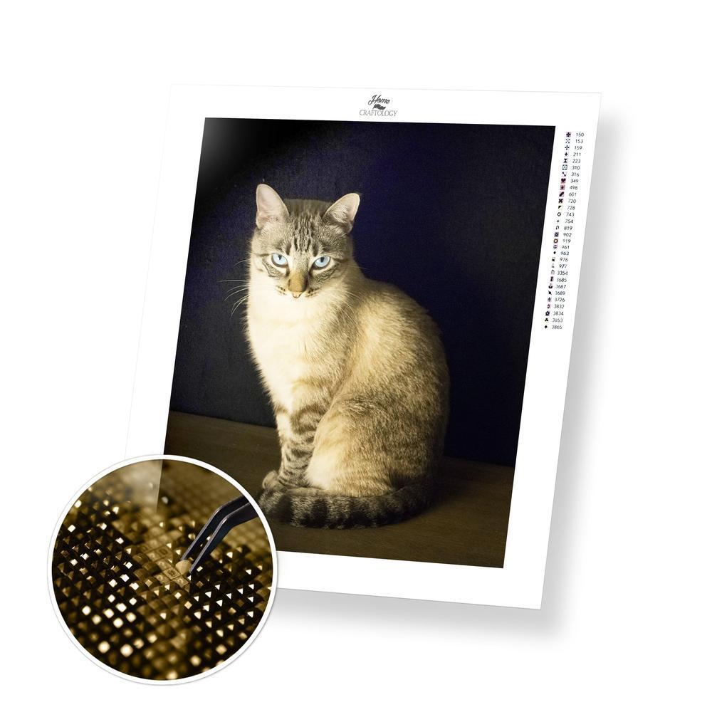Fierce Looking Cat - Premium Diamond Painting Kit