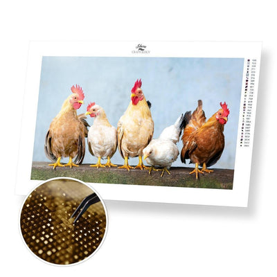 Five Chickens - Premium Diamond Painting Kit