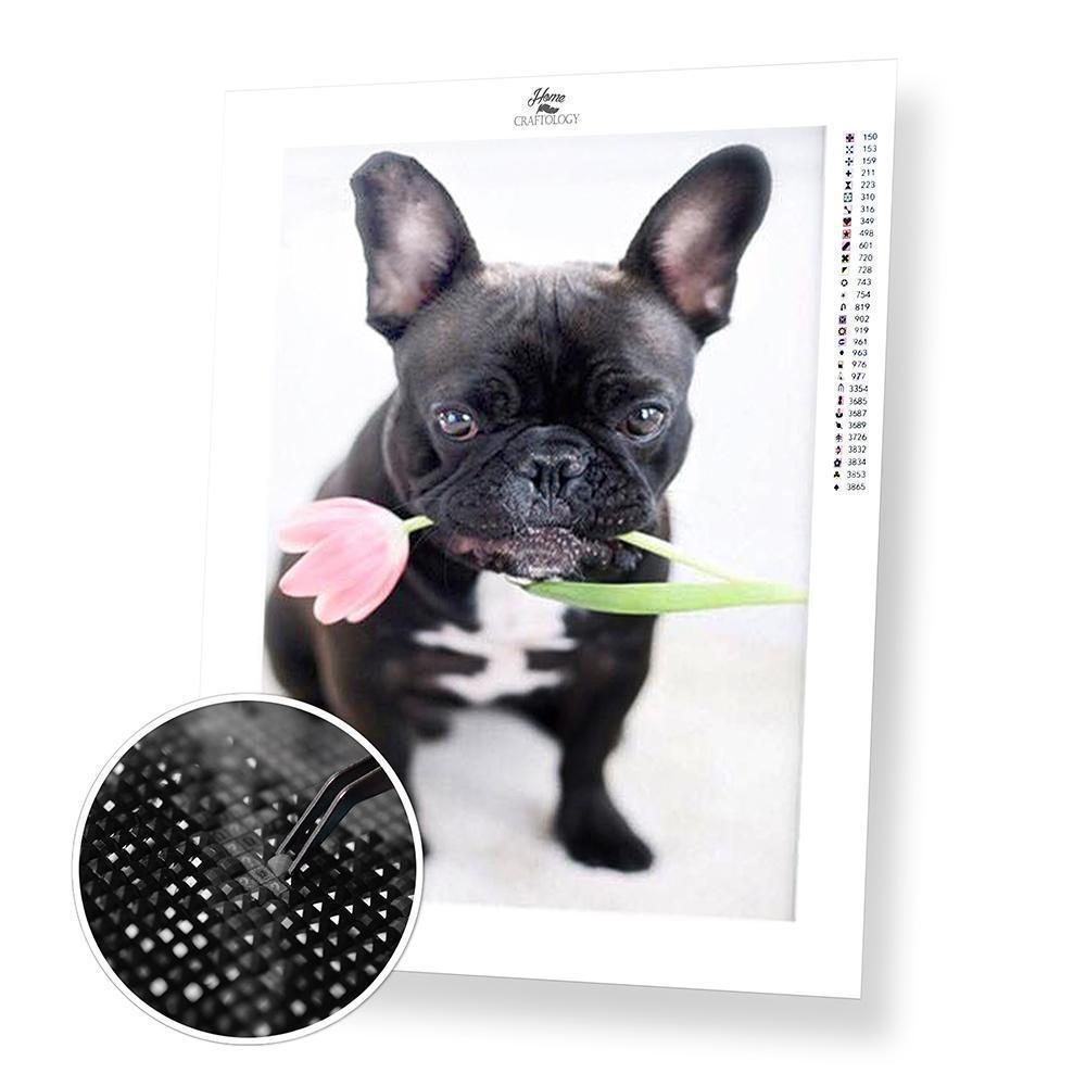 French Bulldog - Diamond Painting Kit - Home Craftology