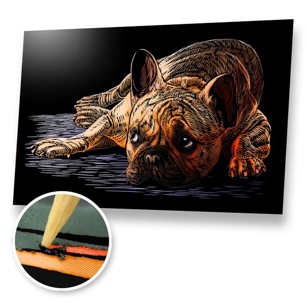 Dogs Scratch Painting Bundle