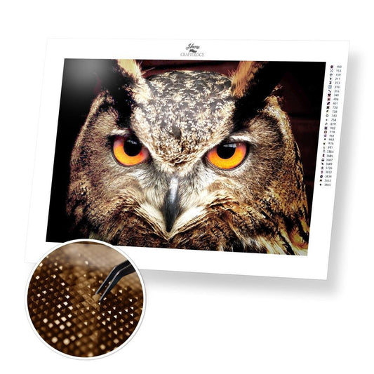 Gaze of an Owl - Exclusive Premium Diamond Painting Kit