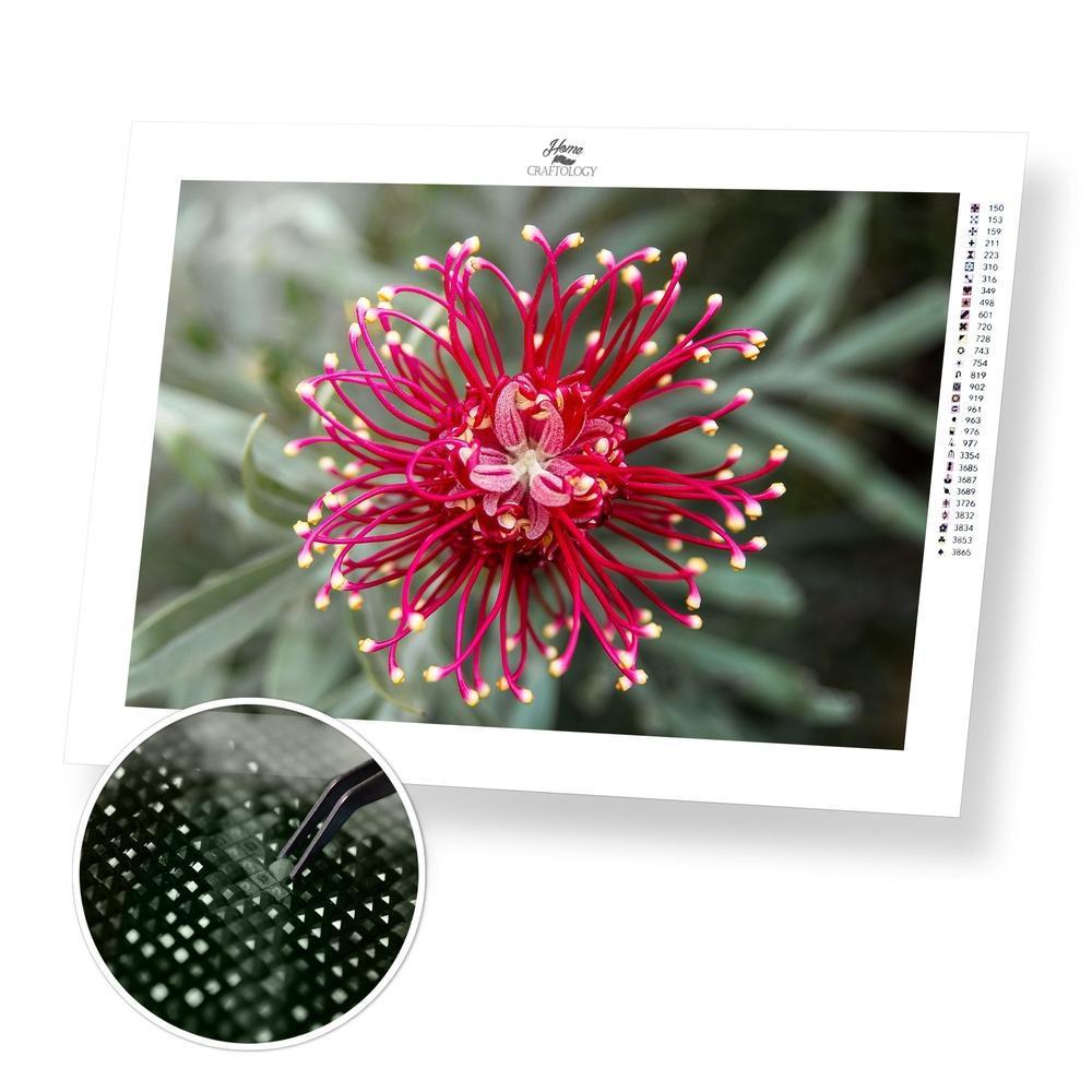 Grevillea - Premium Diamond Painting Kit