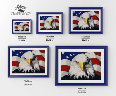 American Flag with Eagle Close-up - Premium Diamond Painting Kit